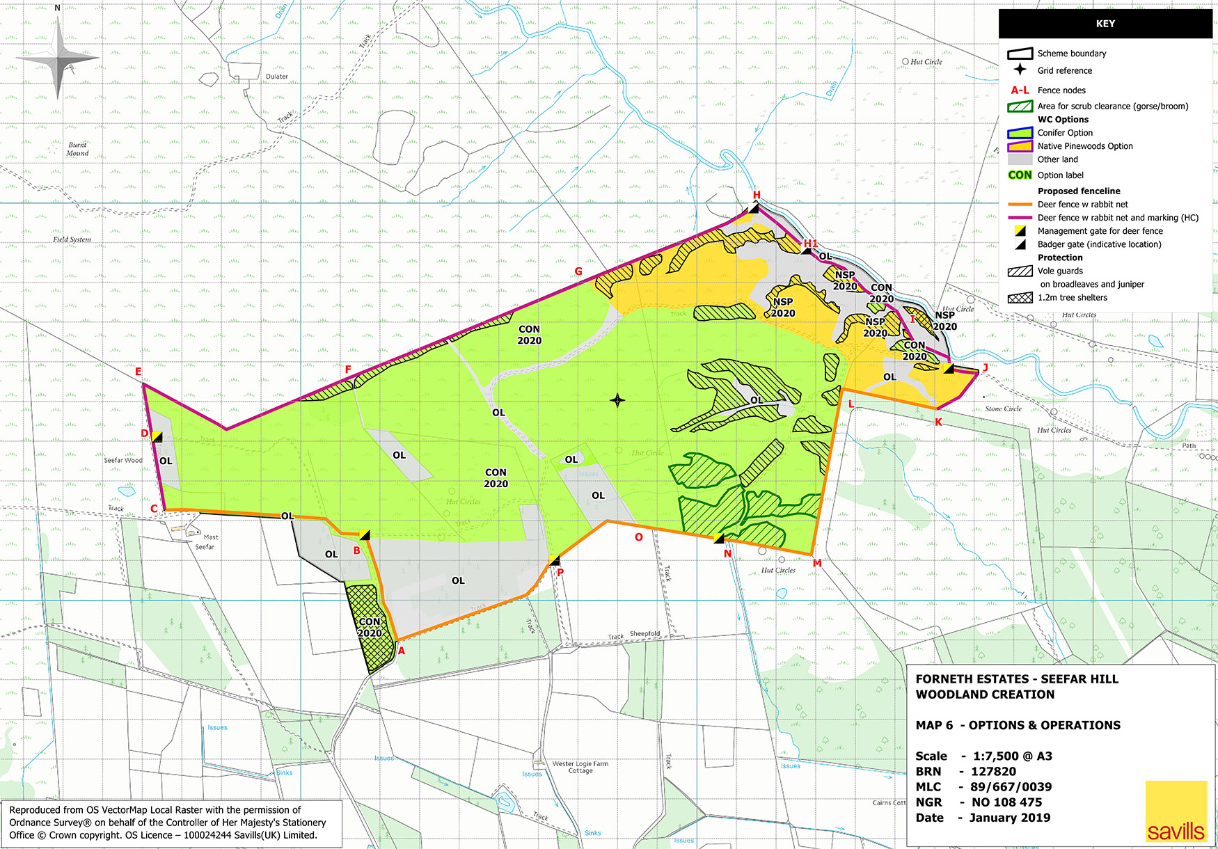 Forneth Initial Operations Map